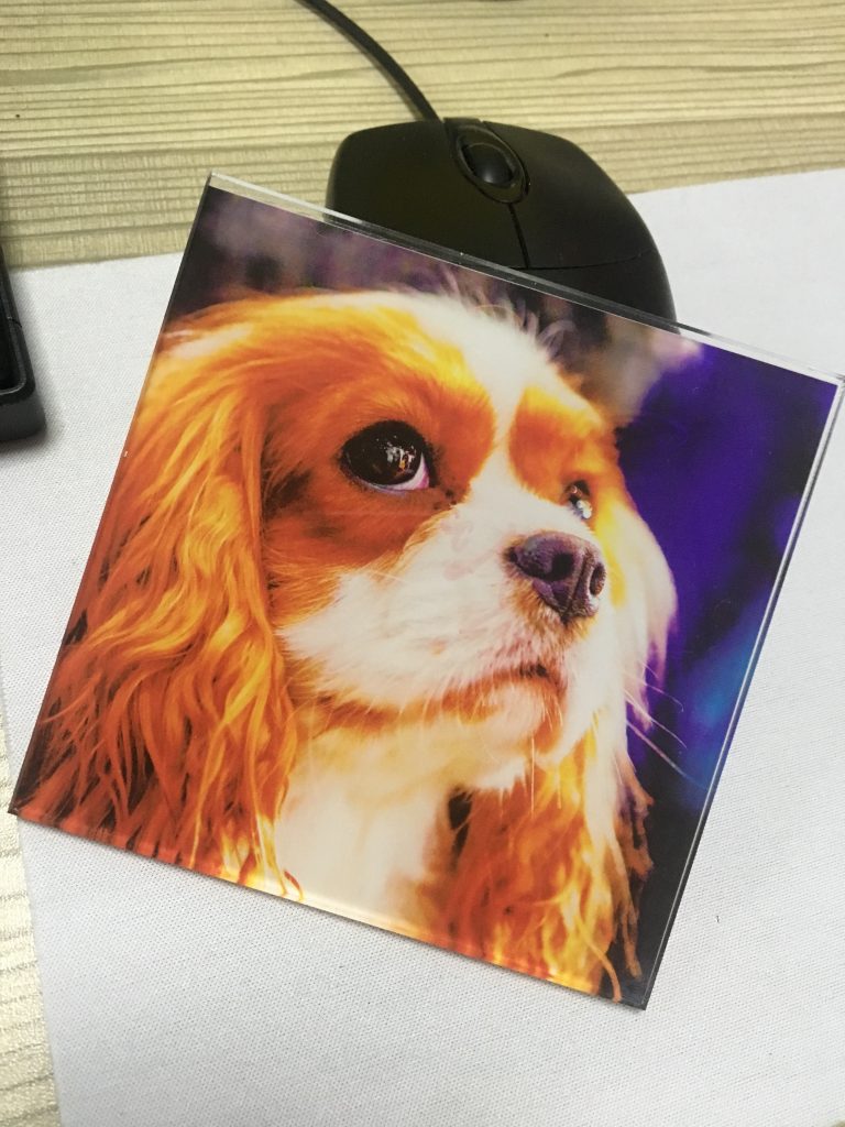 MT UV Printer Price: An Affordable Solution for High-Quality Printing|uv printer manufacturer |