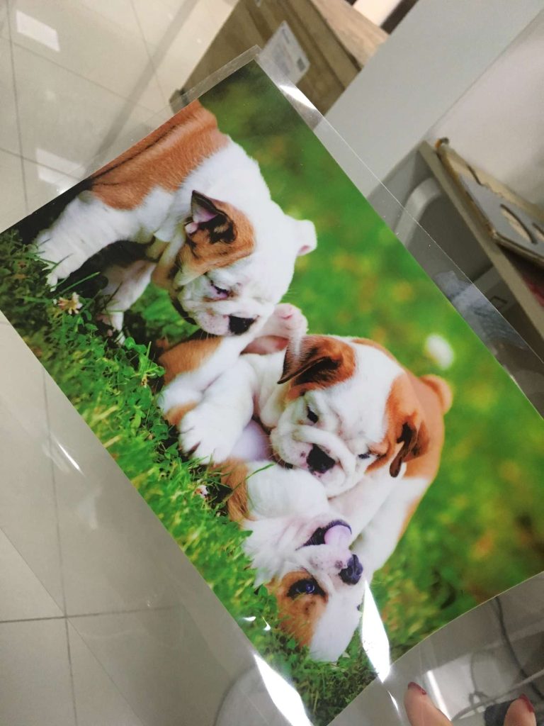 The Benefits of UV DTF Laminating Printer in the Printing Industry|uv printer manufacturer |